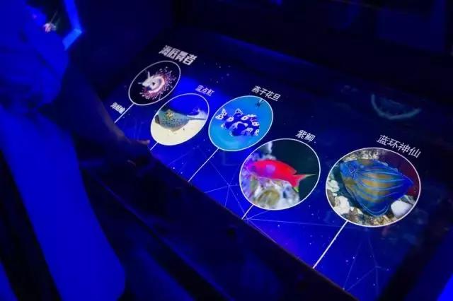 1498783924833632.jpg 1498783924833632.jpg