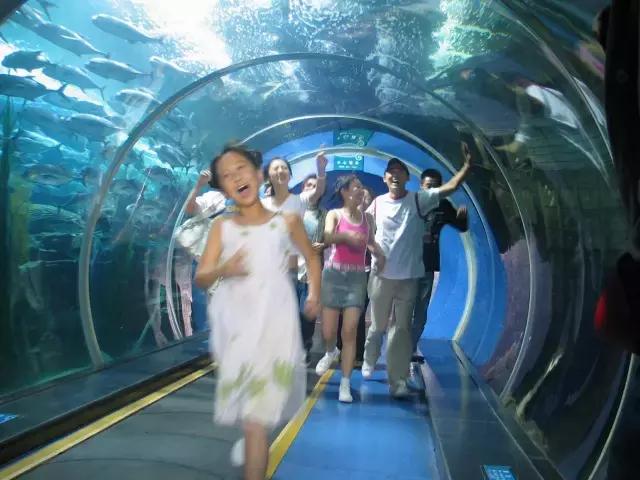 1498783924818789.jpg 1498783924818789.jpg