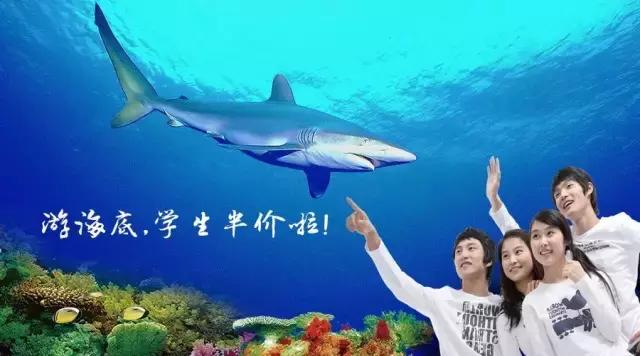 1498783924281115.jpg 1498783924281115.jpg