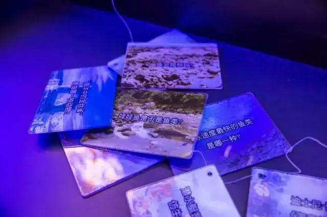 1498783924883866.jpg 1498783924883866.jpg