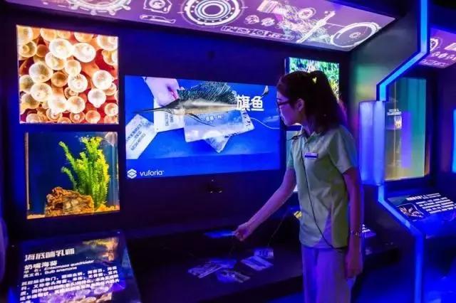 1498783924153913.jpg 1498783924153913.jpg