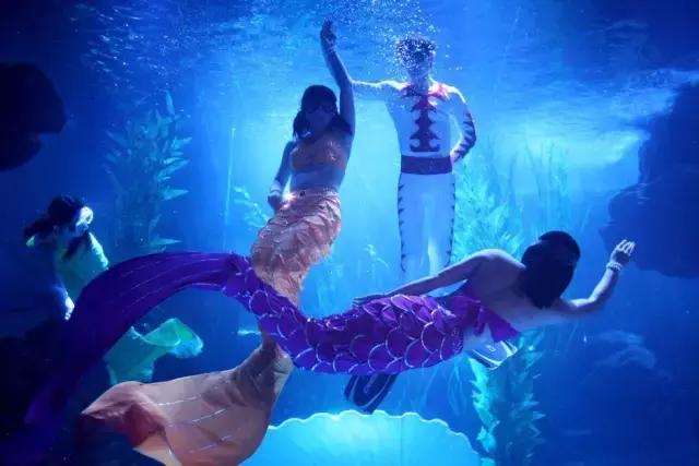 1498783924523432.jpg 1498783924523432.jpg