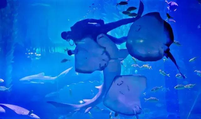 1498783924670347.jpg 1498783924670347.jpg