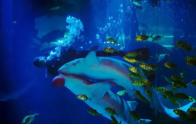 1498783924571791.jpg 1498783924571791.jpg