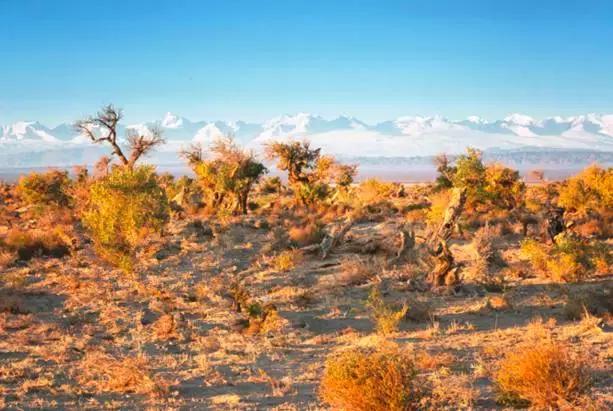 G7京新高速公路 美景连美国66号公路都嫉妒