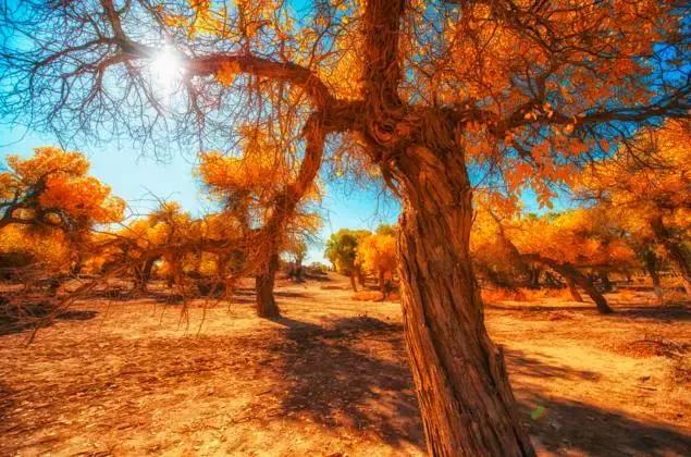 G7京新高速公路 美景连美国66号公路都嫉妒