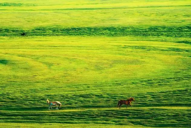 G7京新高速公路 美景连美国66号公路都嫉妒