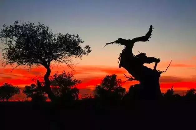 G7京新高速公路 美景连美国66号公路都嫉妒