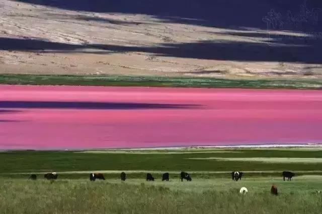 G7京新高速公路 美景连美国66号公路都嫉妒