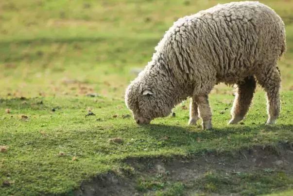 G7京新高速公路 美景连美国66号公路都嫉妒