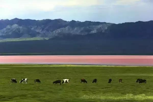 G7京新高速公路 美景连美国66号公路都嫉妒