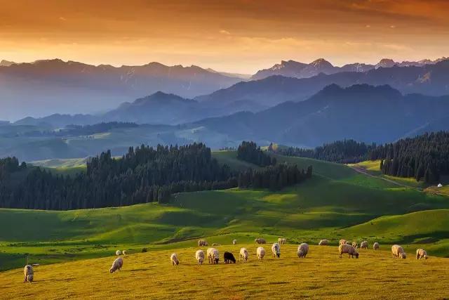 G7京新高速公路 美景连美国66号公路都嫉妒