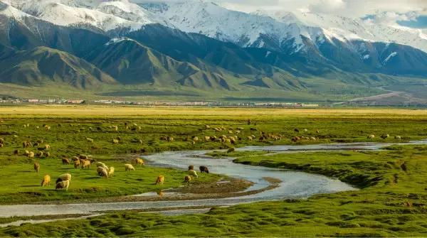 G7京新高速公路 美景连美国66号公路都嫉妒