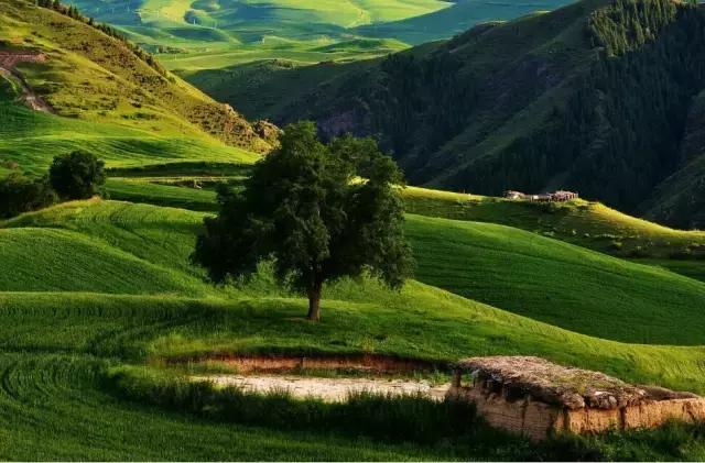 G7京新高速公路 美景连美国66号公路都嫉妒