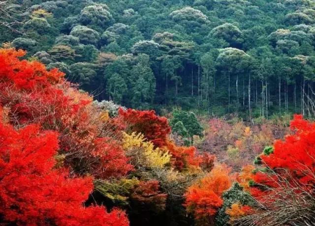 G7京新高速公路 美景连美国66号公路都嫉妒