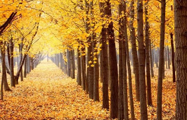 G7京新高速公路 美景连美国66号公路都嫉妒