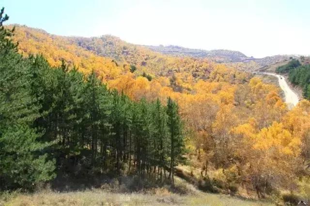 G7京新高速公路 美景连美国66号公路都嫉妒