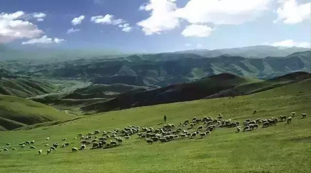 G7京新高速公路 美景连美国66号公路都嫉妒