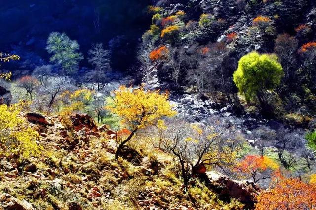 G7京新高速公路 美景连美国66号公路都嫉妒