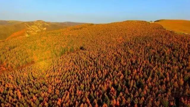 G7京新高速公路 美景连美国66号公路都嫉妒