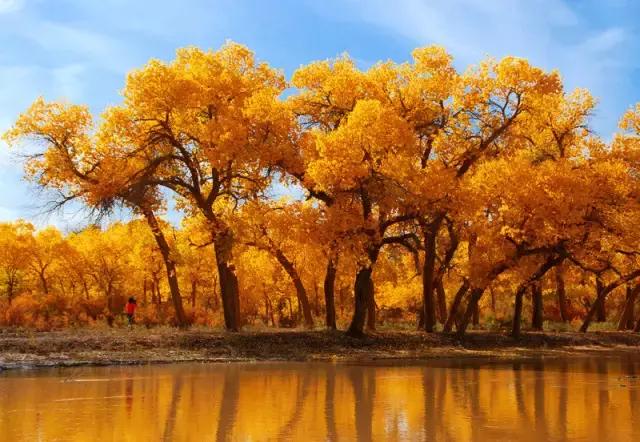 G7京新高速公路 美景连美国66号公路都嫉妒