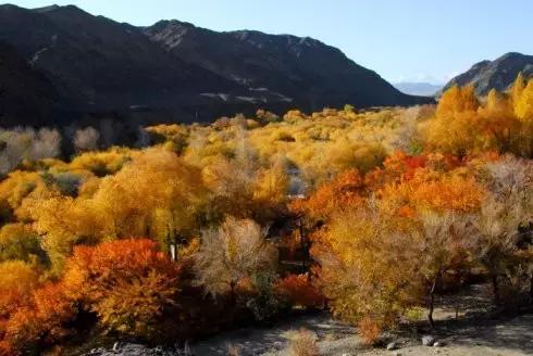 G7京新高速公路 美景连美国66号公路都嫉妒