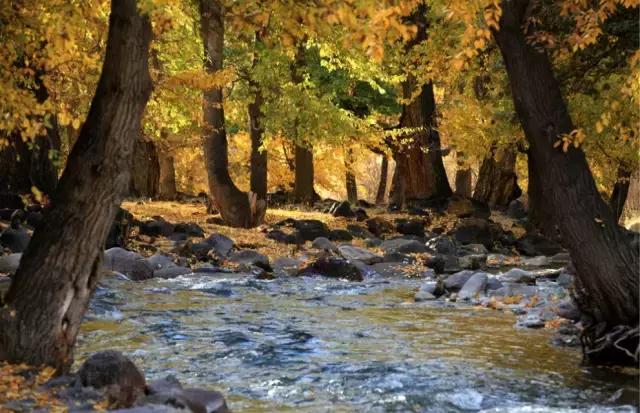 G7京新高速公路 美景连美国66号公路都嫉妒