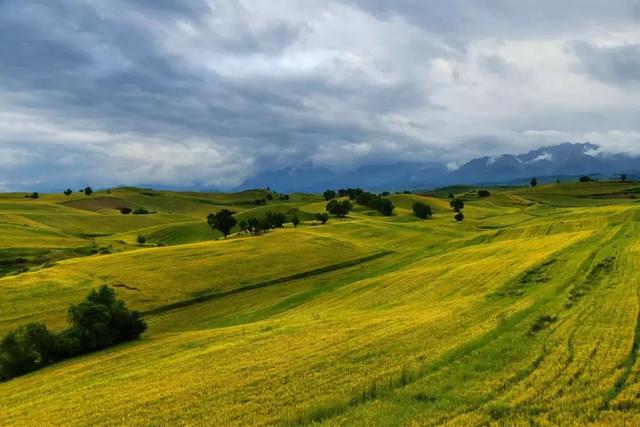 G7京新高速公路 美景连美国66号公路都嫉妒