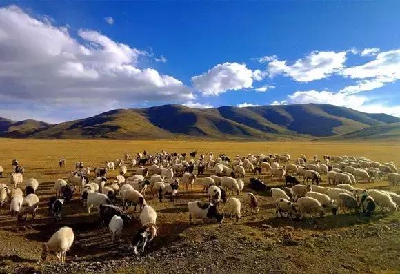 G7京新高速公路 美景连美国66号公路都嫉妒