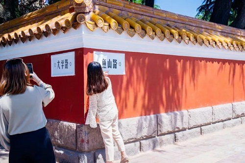 1526457025283488.jpg 26.webp.jpg