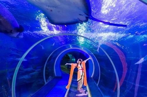 1526457278398217.jpg 38.webp.jpg