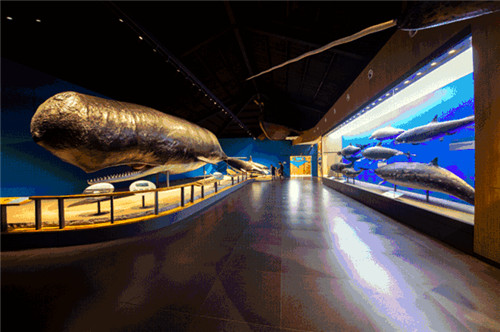 1530524430200324.jpg 13_副本.jpg