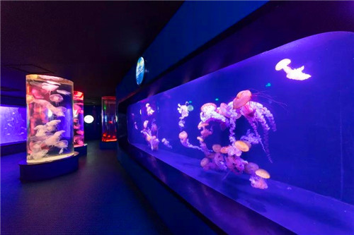 1530524402508697.jpg 10_副本.jpg