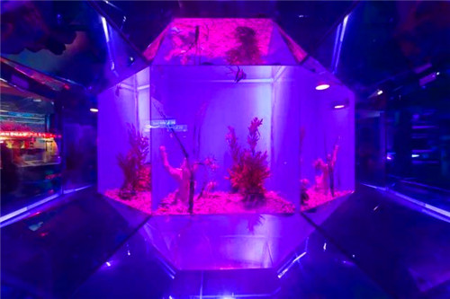 1530524475455360.jpg 13_副本1.jpg