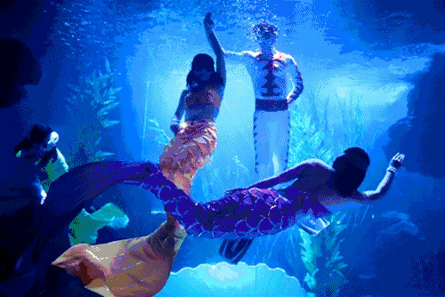 1530524558302163.jpg 14.jpg