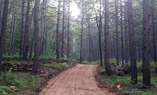 前70名选手可进入第二项7公里山地自行车比赛,