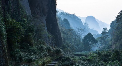 爱武夷山，爱我一生！七夕，缘来武夷山