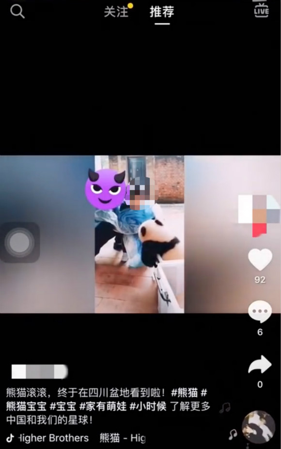 游客私自触摸大熊猫幼崽并拍视频。受访者供图，华龙网发