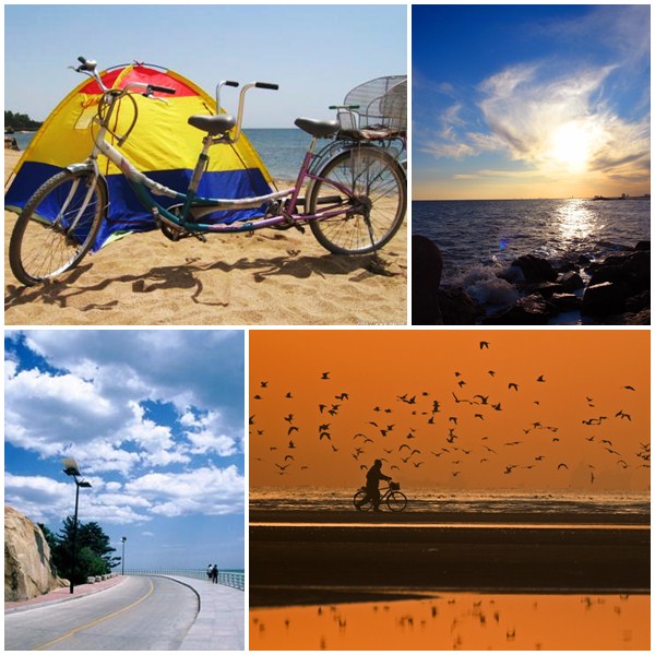 单车骑行海岸线