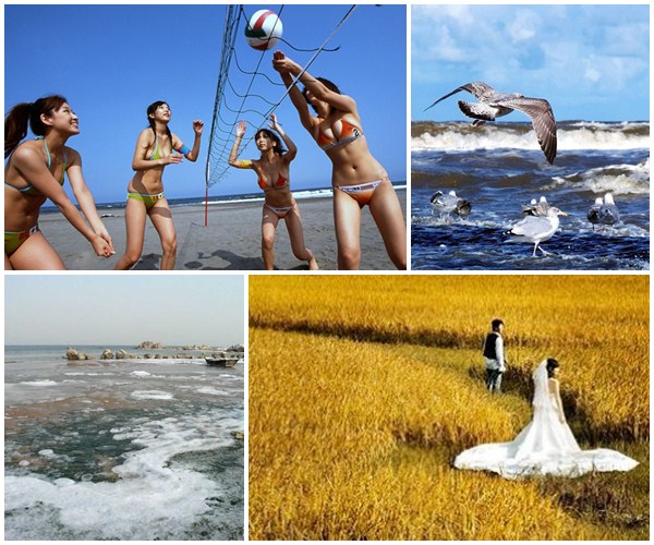 北戴河的春夏秋冬