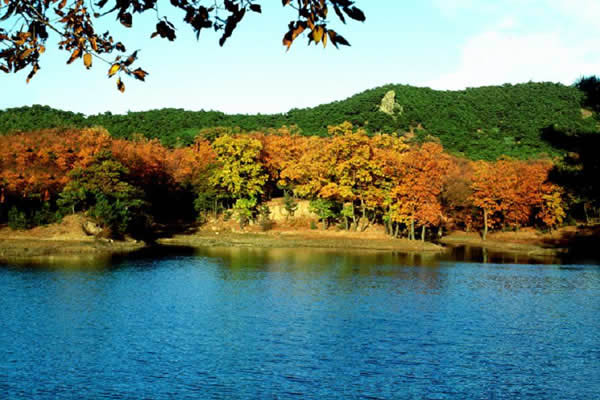 联峰山公园秋景