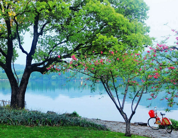 西湖十景之苏堤春晓