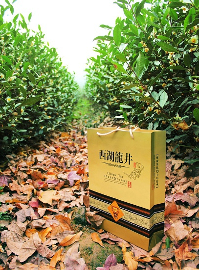 西湖龙井