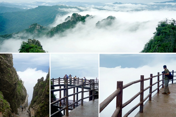 老君山的自然风光