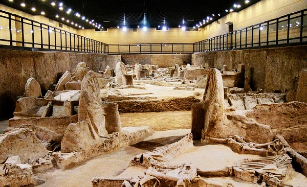 博物馆内部陈列品