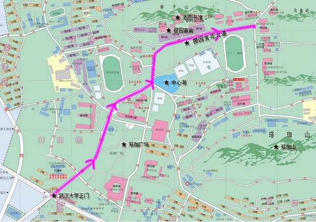 武汉大学赏樱花线路图
