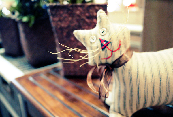 浪漫“猫岛”鼓浪屿