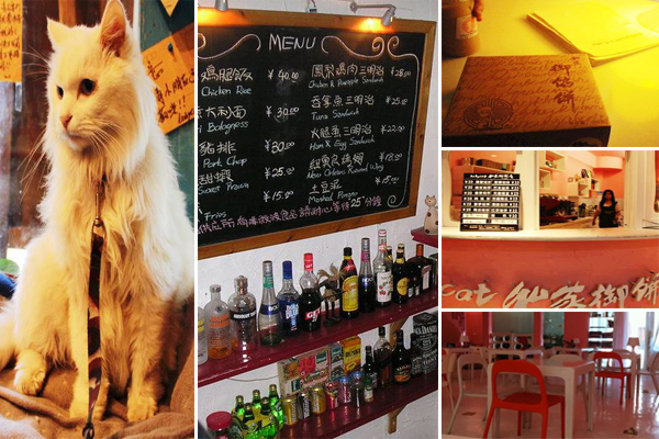 Babycat私家御饼屋