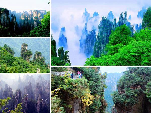 天子山自然保护区