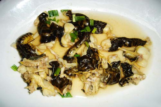 梆梆肉(华南湍蛙)